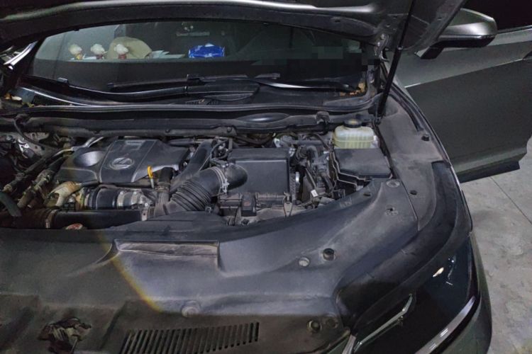 Used Lexus RX 2020 300 Two-Wheel Drive Elite Edition China VI Standard Engine Bay Left