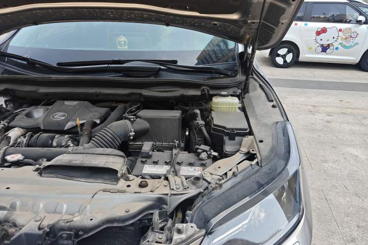 Used Lexus RX 2020 300 Two-Wheel Drive Elite Edition China VI Standard Engine Bay Left
