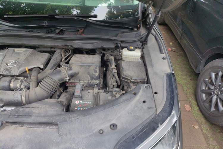 Used Lexus RX 2020 Revised Version 300 Two-Wheel Drive Comfort Edition Engine Bay Left