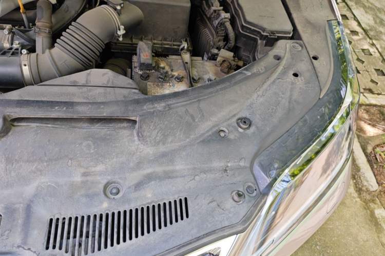 Used Lexus RX 2020 Facelifted 300 4x4 Elegant Edition Engine Bay Left