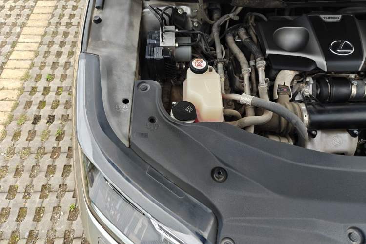 Used Lexus RX 2020 300 Two-Wheel Drive Elite Edition China VI Standard Engine Bay Right