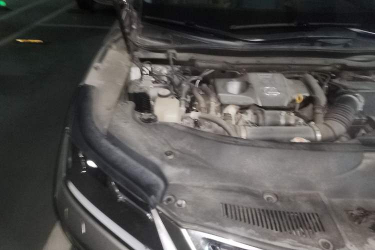 Used Lexus RX 2020 300 Two-Wheel Drive Elite Edition China VI Standard Engine Bay Right