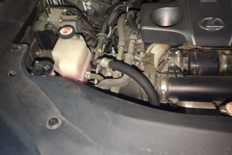 Used Lexus RX 2020 300 Two-Wheel Drive Elite Edition China VI Standard Engine Bay Right