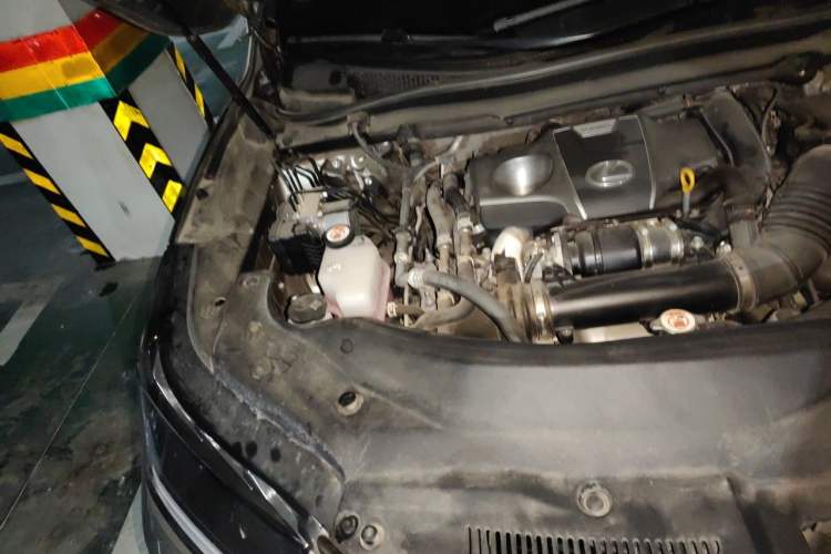 Used Lexus RX 2020 Facelifted 300 4x4 Elegant Edition Engine Bay Right