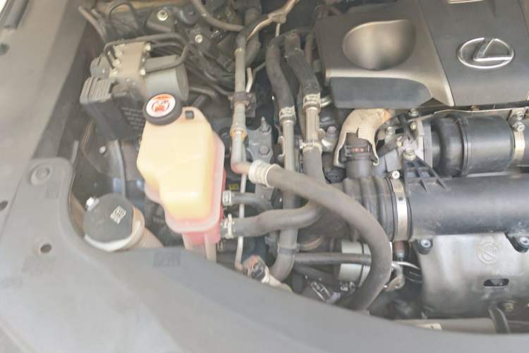 Used Lexus RX 2020 Facelifted 300 4x4 Elegant Edition Engine Bay Right
