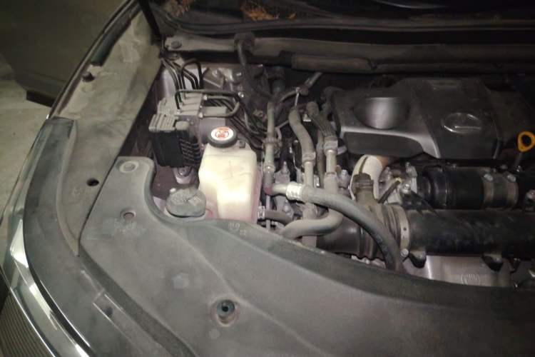 Used Lexus RX 2020 300 Launch Special Limited Edition China VI Standard Engine Bay Right