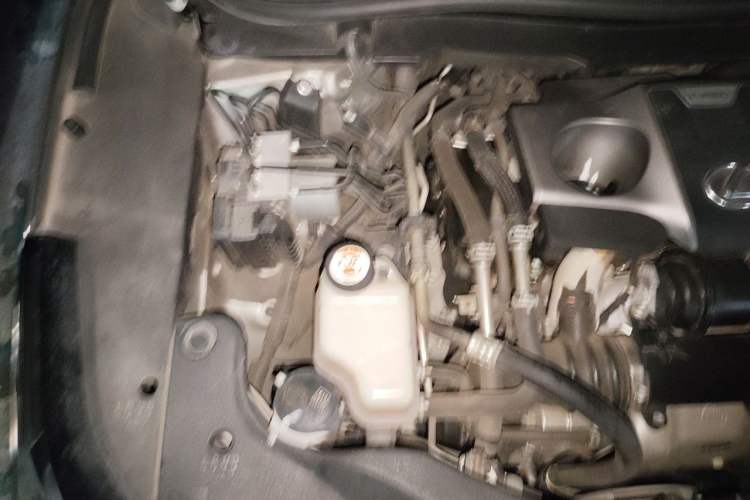 Used Lexus RX 2020 300 4x4 F SPORT China VI Engine Bay Right