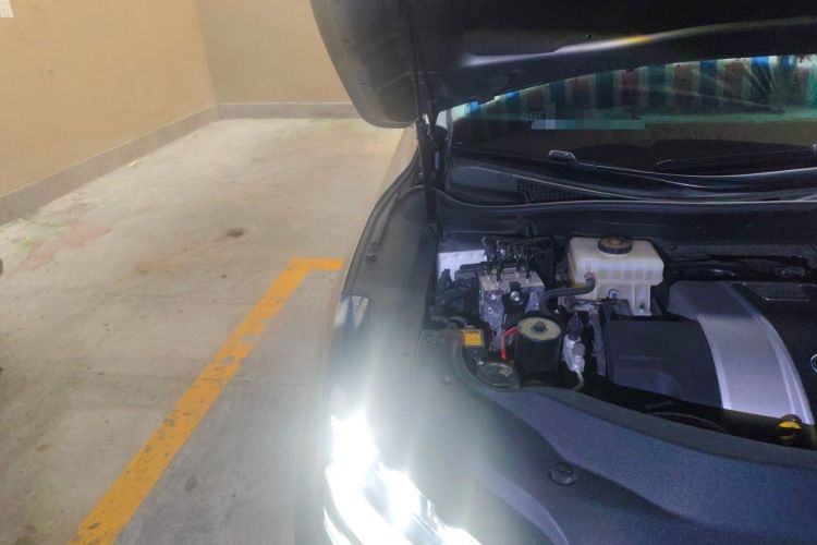 Used Lexus RX 2020 450h Four-Wheel Drive Luxury Edition China VI Standard Engine Bay Right