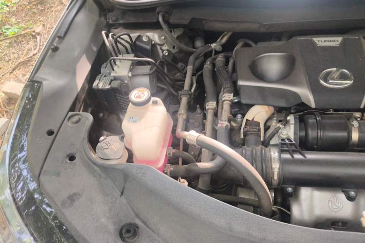 Used Lexus RX 2020 Revised Version 300 Two-Wheel Drive Elite Edition Engine Bay Right