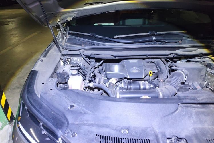 Used Lexus RX 2020 300 Two-Wheel Drive Elite Edition China VI Standard Engine Bay Right