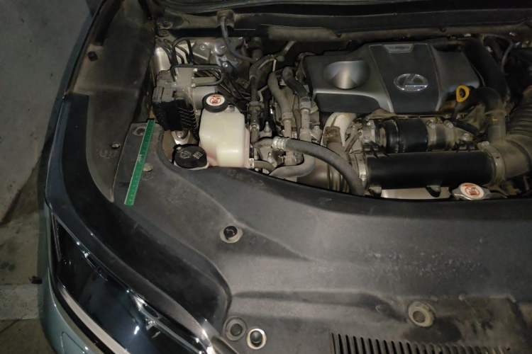 Used Lexus RX 2020 300 Two-Wheel Drive Elite Edition China VI Standard Engine Bay Right