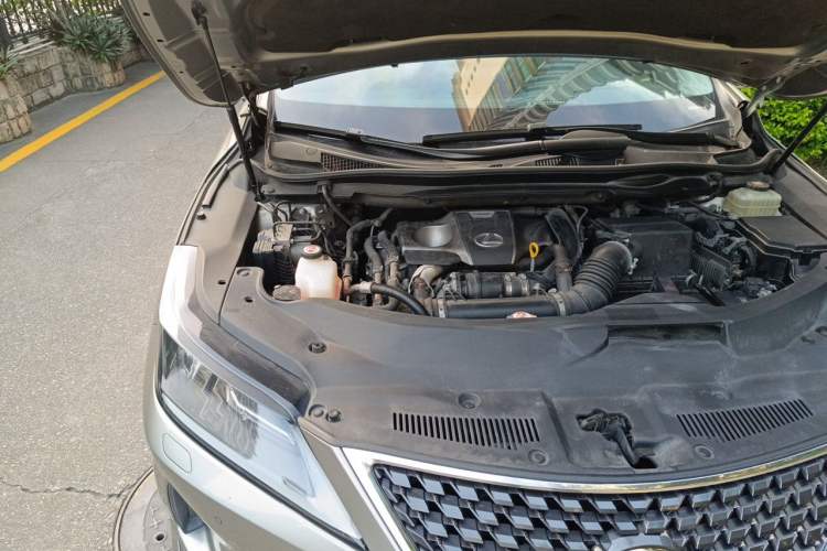 Used Lexus RX 2020 300 Two-Wheel Drive Elite Edition China VI Standard Engine Bay Right