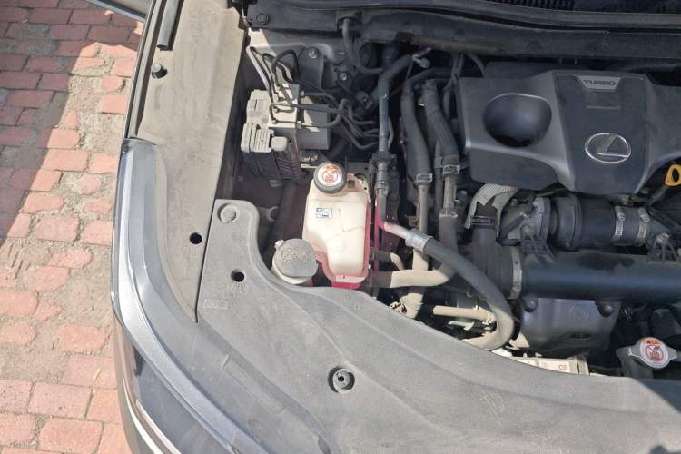 Used Lexus RX 2020 Revised Version 300 Two-Wheel Drive Elite Edition Engine Bay Right