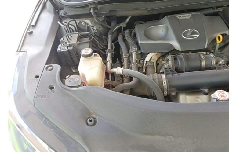 Used Lexus RX 2020 300 4x4 Elegant Edition China VI Engine Bay Right