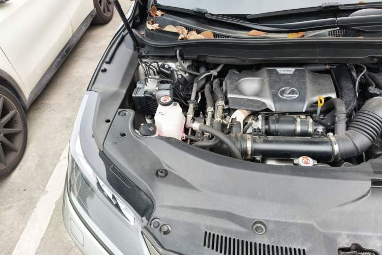 Used Lexus RX 2020 300 4x4 Elegant Edition China VI Engine Bay Right