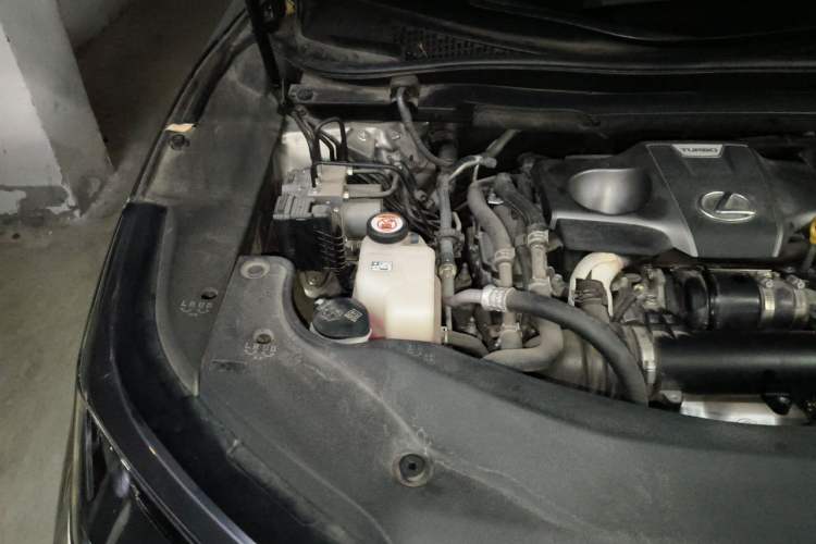 Used Lexus RX 2020 Revised Version 300 Two-Wheel Drive Comfort Edition Engine Bay Right