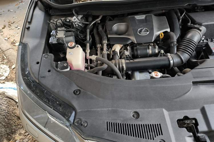 Used Lexus RX 2020 Revised Version 300 Two-Wheel Drive Comfort Edition Engine Bay Right