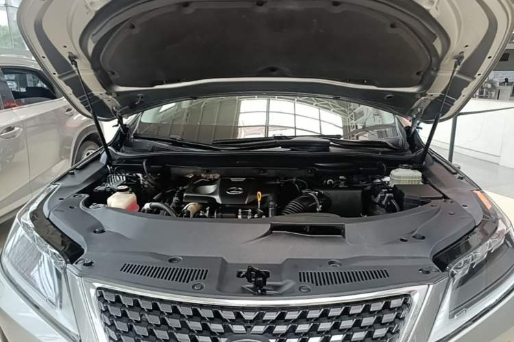 Used Lexus RX 2020 300 4x4 Elegant Edition China VI Engine Bay
