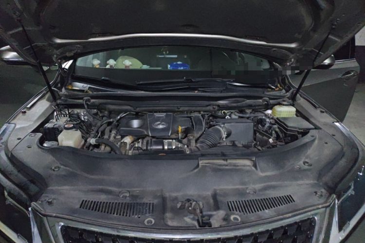 Used Lexus RX 2020 300 Two-Wheel Drive Elite Edition China VI Standard Engine Bay
