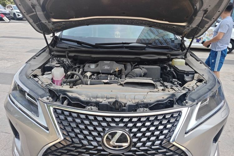 Used Lexus RX 2020 300 Two-Wheel Drive Elite Edition China VI Standard Engine Bay