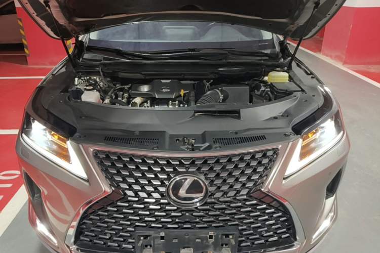 Used Lexus RX 2020 Revised Version 300 Two-Wheel Drive Elite Edition Engine Bay