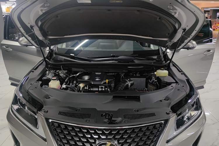 Used Lexus RX 2020 300 Two-Wheel Drive Comfort Edition China VI Standard Engine Bay
