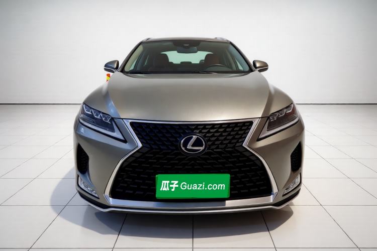 Used Lexus RX 2020 300 4x4 Elegant Edition China VI Exterior 1