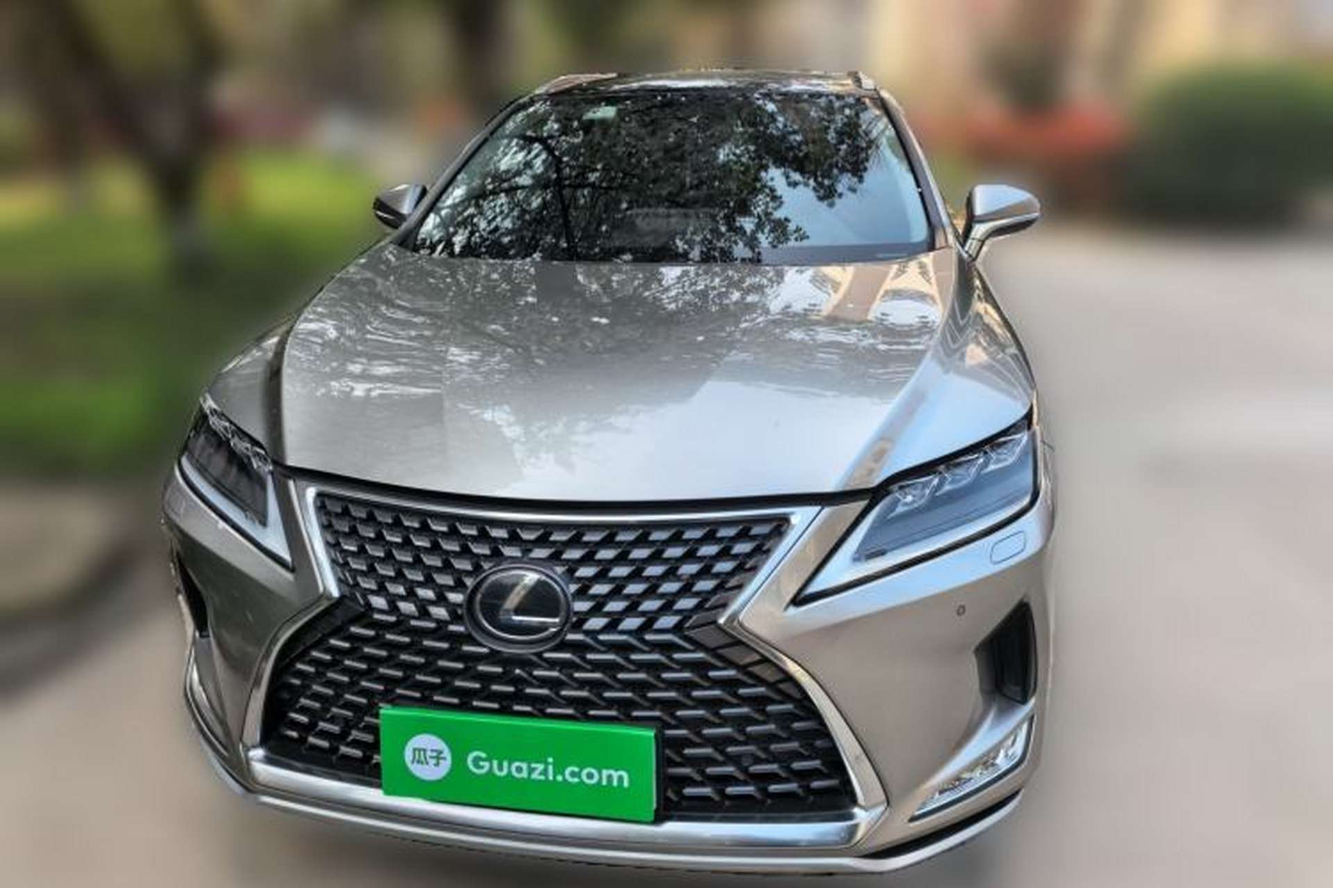 Used Lexus RX 2020 Facelifted 300 4x4 Elegant Edition Exterior 1