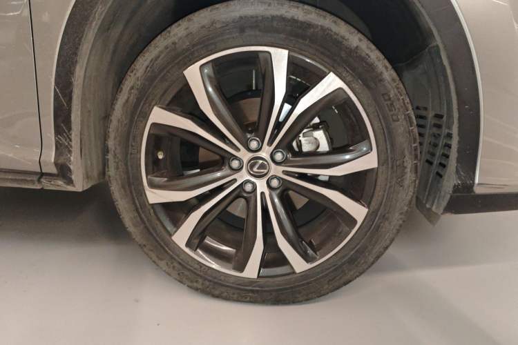 Used Lexus RX 2020 300 4x4 Elegant Edition China VI Exterior 4