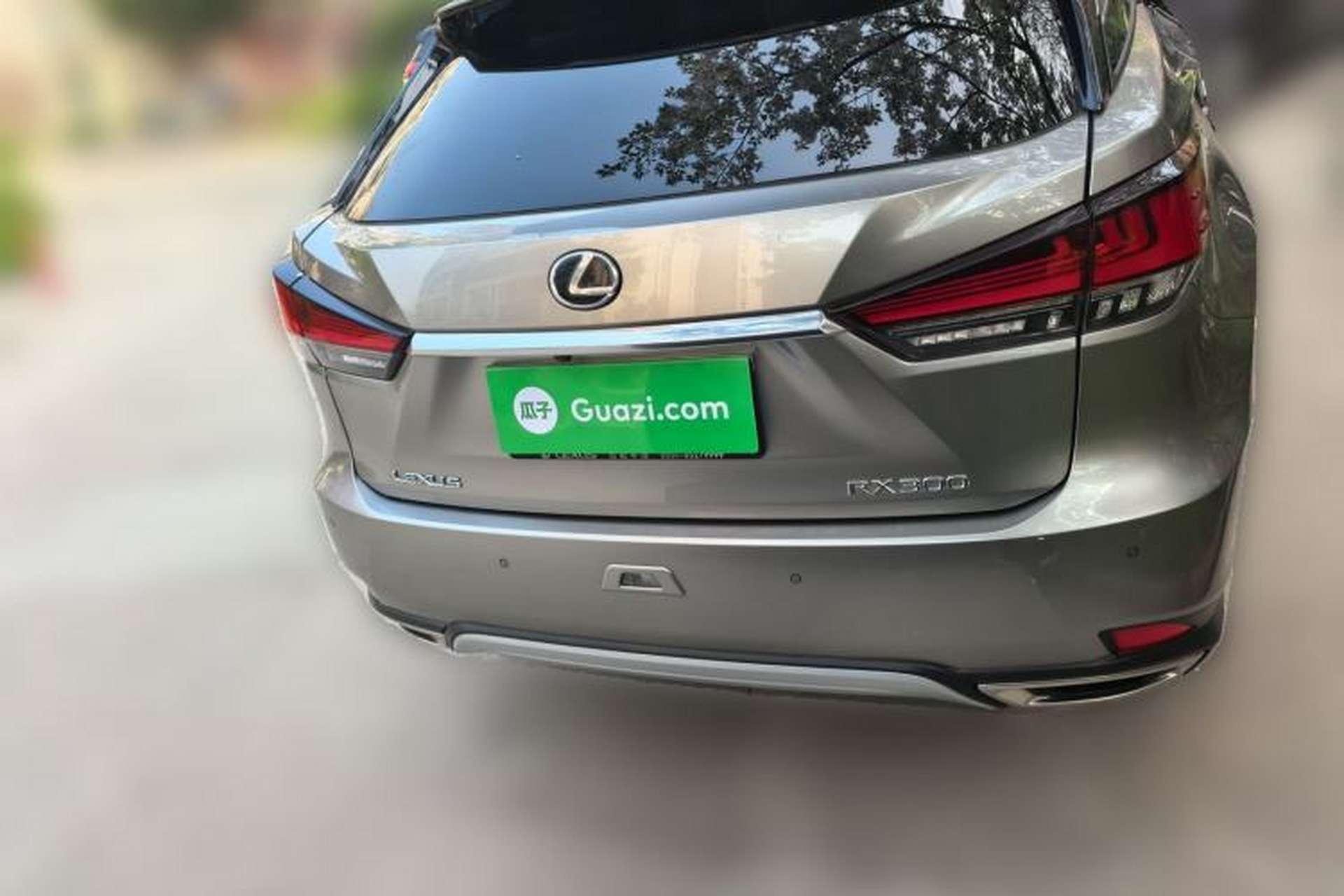 Used Lexus RX 2020 Facelifted 300 4x4 Elegant Edition Exterior 4