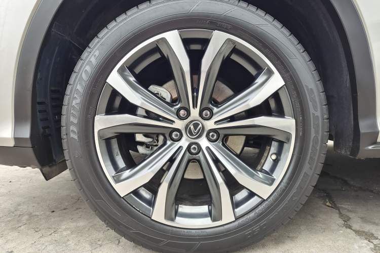 Used Lexus RX 2020 Facelifted 300 4x4 Elegant Edition Exterior 6