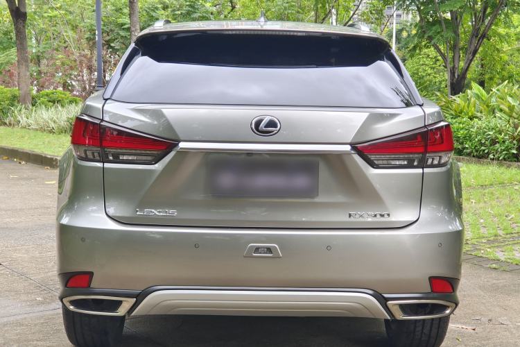 Used Lexus RX 2020 Facelifted 300 4x4 Elegant Edition Exterior 7