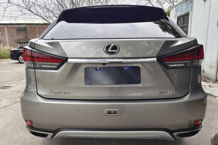 Used Lexus RX 2020 Facelifted 300 4x4 Elegant Edition Exterior 8
