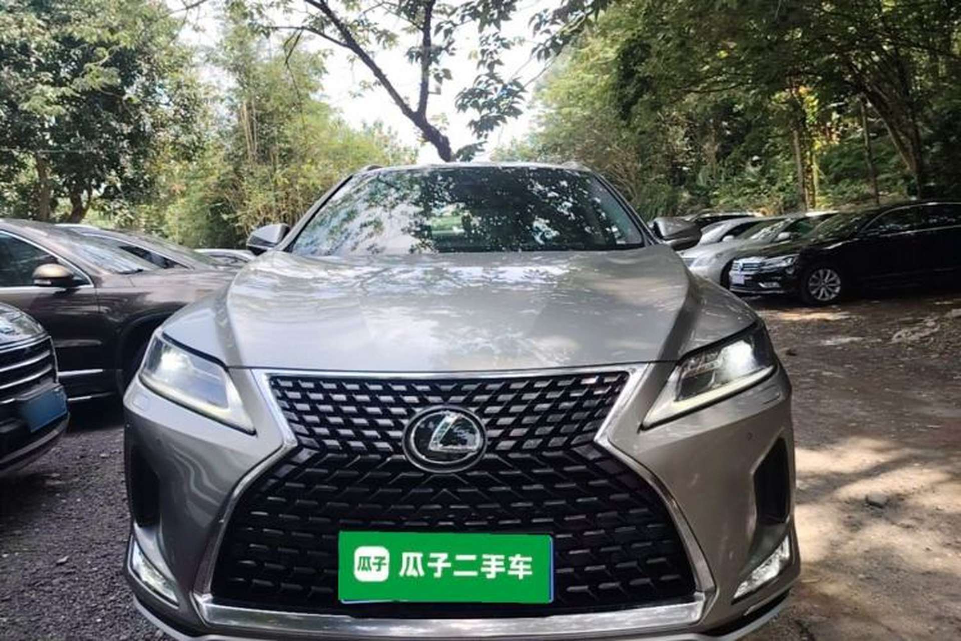Used Lexus RX 2020 Revised Version 300 Two-Wheel Drive Comfort Edition Front