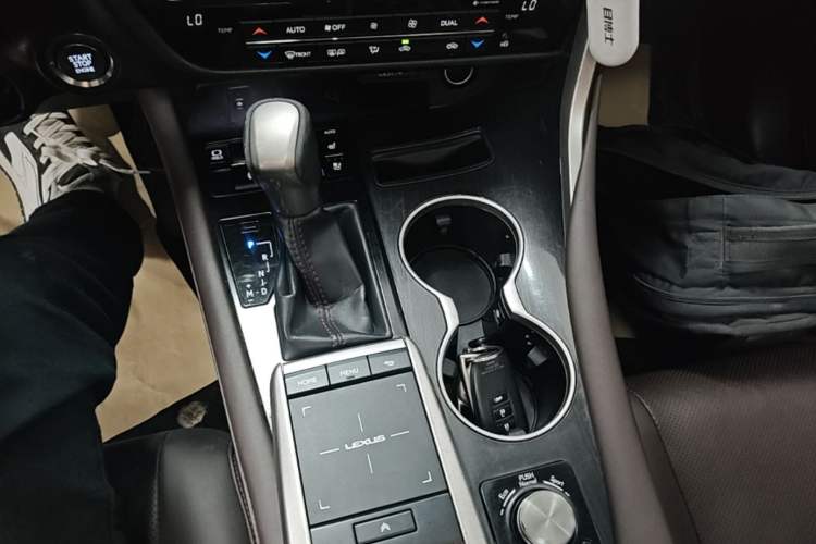 Used Lexus RX 2020 300 Two-Wheel Drive Comfort Edition China VI Standard Gear Lever