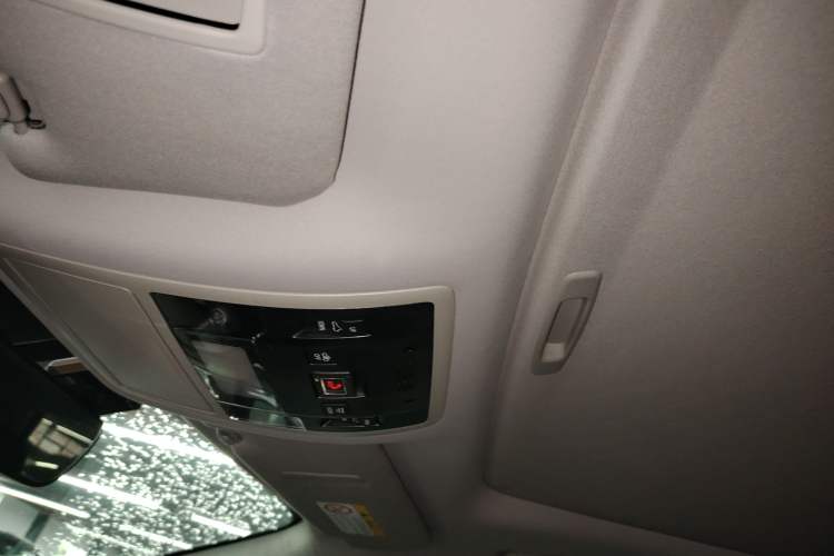 Used Lexus RX 2020 Revised Version 300 Two-Wheel Drive Comfort Edition Headliner