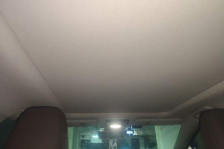 Used Lexus RX 2020 300 4x4 Elegant Edition China VI Headliner