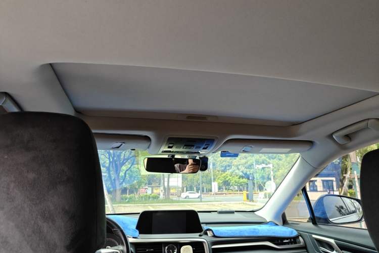 Used Lexus RX 2020 300 Two-Wheel Drive Elite Edition China VI Standard Headliner