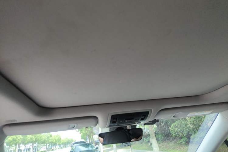 Used Lexus RX 2020 300 4x4 Elegant Edition China VI Headliner