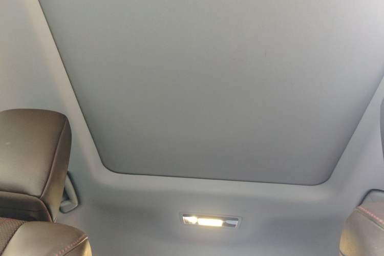 Used Lexus RX 2020 Facelifted 300 4x4 Elegant Edition Headliner