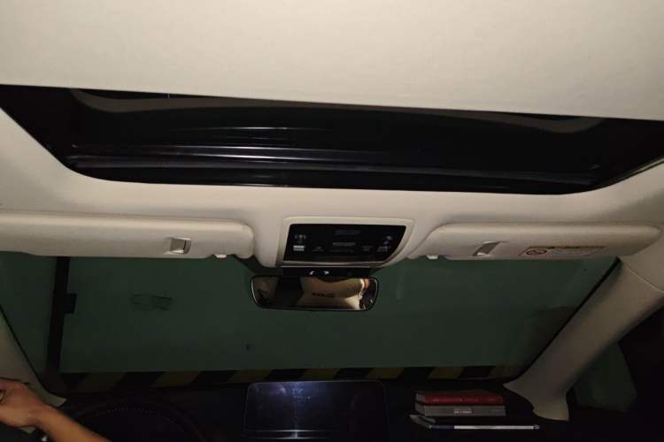 Used Lexus RX 2020 Facelifted 300 4x4 Elegant Edition Headliner