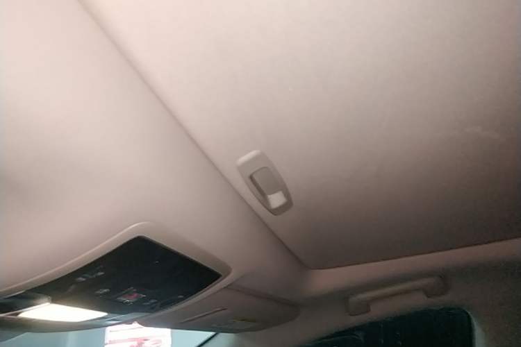 Used Lexus RX 2020 Revised Version 300 Two-Wheel Drive Elite Edition Headliner