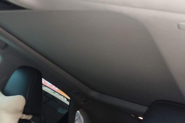 Used Lexus RX 2020 300 4x4 Elegant Edition China VI Headliner