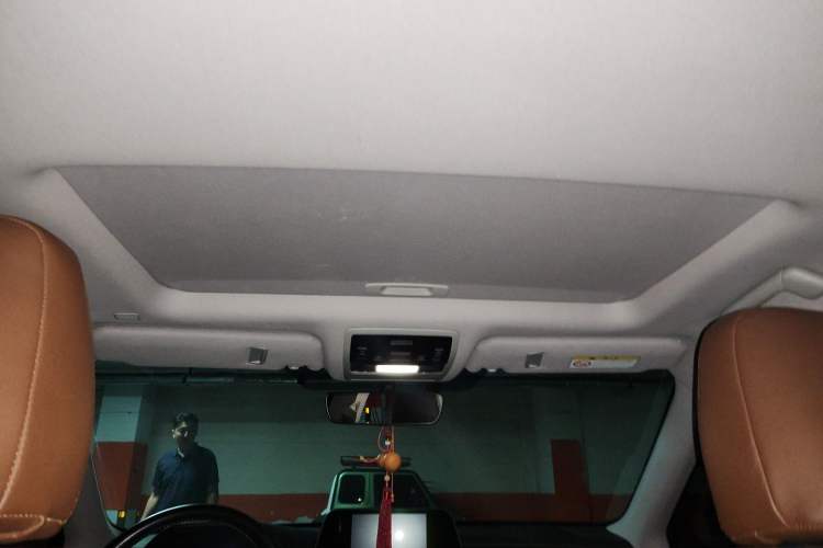 Used Lexus RX 2020 300 Two-Wheel Drive Elite Edition China VI Standard Headliner