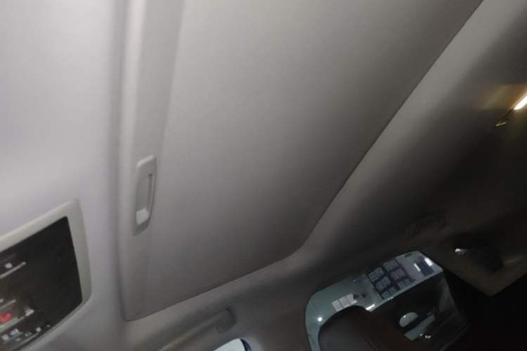 Used Lexus RX 2020 450h Four-Wheel Drive Elegant Edition China VI Standard Headliner