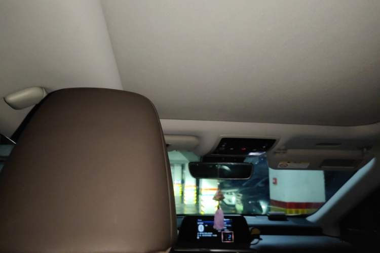 Used Lexus RX 2020 Facelifted 300 4x4 Elegant Edition Headliner