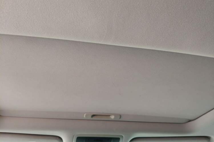 Used Lexus RX 2020 Revised Version 300 Two-Wheel Drive Elite Edition Headliner