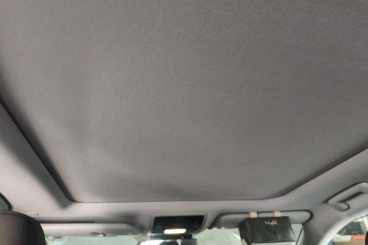 Used Lexus RX 2020 Facelifted 300 4x4 Elegant Edition Headliner