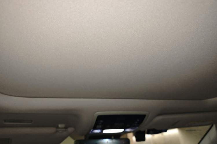 Used Lexus RX 2020 300 4x4 Elegant Edition China VI Headliner