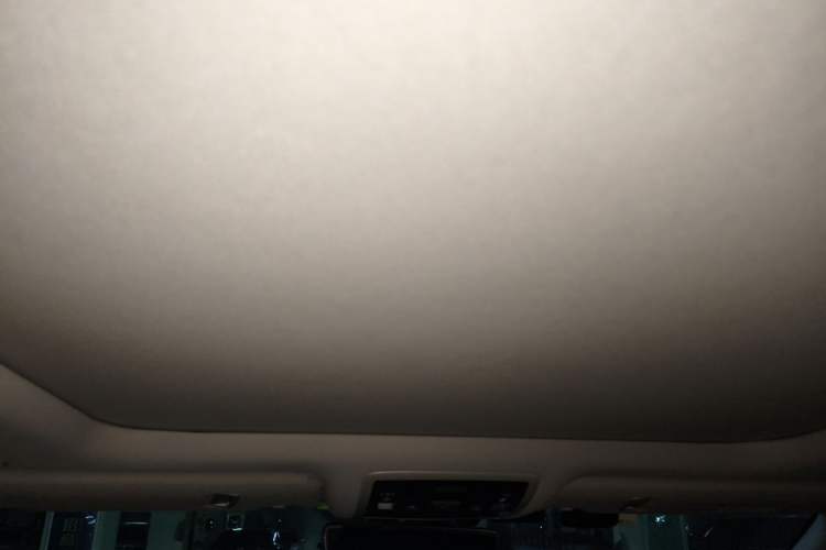 Used Lexus RX 2020 Facelifted 300 4x4 Elegant Edition Headliner